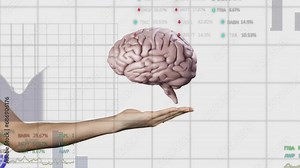 Animation of spinning brain with hand over data processing on white background