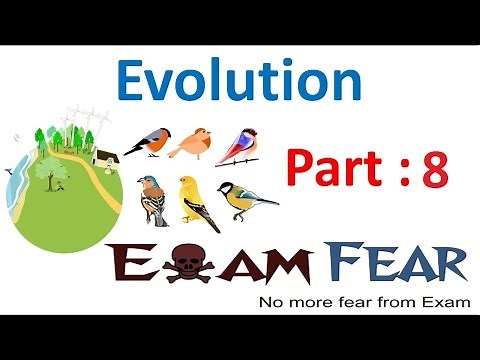 Biology Evolution part 8 (Adaptive Radiation : Darwins Finches) class 12 XII
