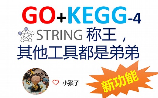 【生信分析-12】STRING:富集分析工具王者