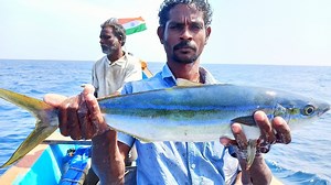 234K views · 5.2K reactions | We caught Rainbow Runner Fish, Needle Fish & Queen Fish in the Sea. | Neerulagam | Facebook