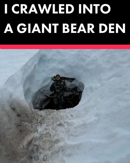 I crawled into a giant bear den. Good thing no one was home haha. #alaska #bear #wild #nature #wilderness #bowmarbowhunting