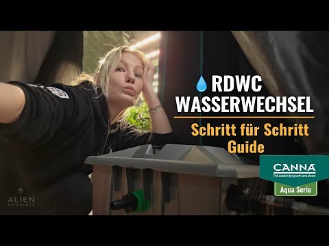 Wasserwechsel im RDWC System – Schritt für Schritt erklärt