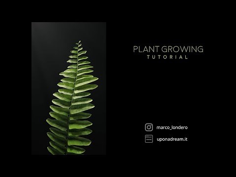 Plant Growing animation | Houdini Full Tutorial
