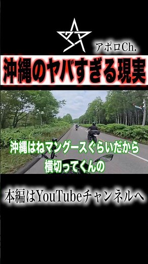 沖縄のヤバすぎる現実