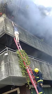 1.9M views · 19K reactions | WATCH: The actual footage of the rescue of Eimeilee Maningo, niece of the owner of a commercial building in Barangay Guizo, Mandaue City, which caught fire on Wednesday morning, December 10. The video also shows rescuers saving several pet dogs from the establishment. : Ivy Baya | Bohol Island News | Facebook