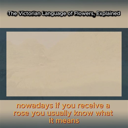 The Victorian Language of Flowers, Explained #victorianera #languageofflowers #flowersymbolism #historytok #explained
