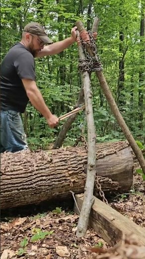 Using a Tripod to Raise Huge Logs