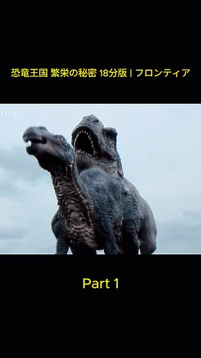 TikTokでNHKさんをチェック！