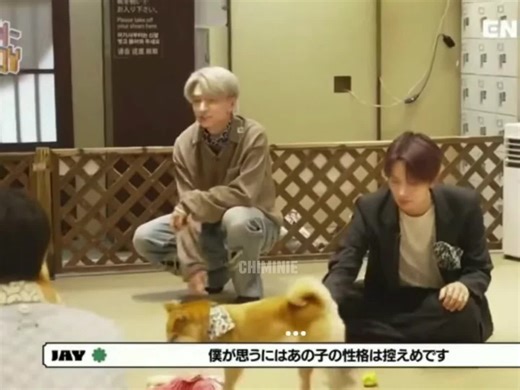 Doggies with Enhypen: A Heartwarming Connection