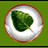 Bodhi Linux