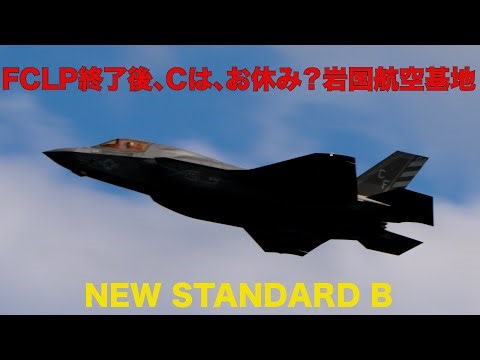 岩国航空基地のランウェイ20は遠い！＃戦闘機＃F/A-18E/F＃F-35B＃ANA B737#海上自衛隊 ＃P-3C＃UP-3D＃MCH-101＃MCASIWAKUNI