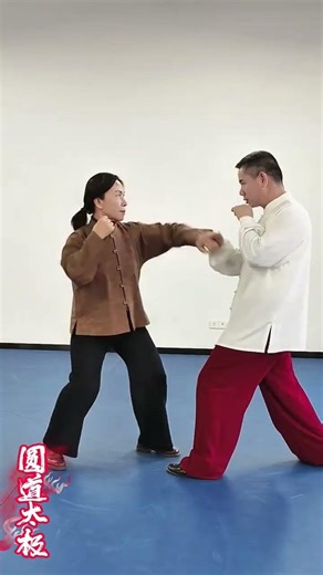 Master Tai Chi Mane Management: Splitting Techniques Unveiled