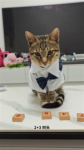 Mastering Math with My Mystical Tabby