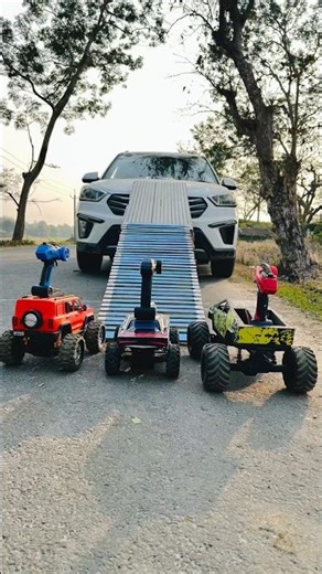 Remote Control RC Cars Climbing Real Car Ramp 😱🚗