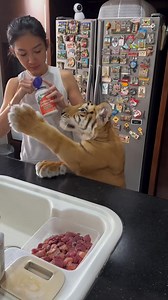 145M views · 1.7M reactions | Josh Wolf on Reels | Facebook