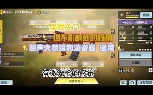 冷门枪Maddox回声火模组和消音通用配件 ，冷门但好用