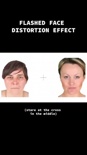How does this work?? 😰 #science #brain #scary #crazy | flashed face distortion