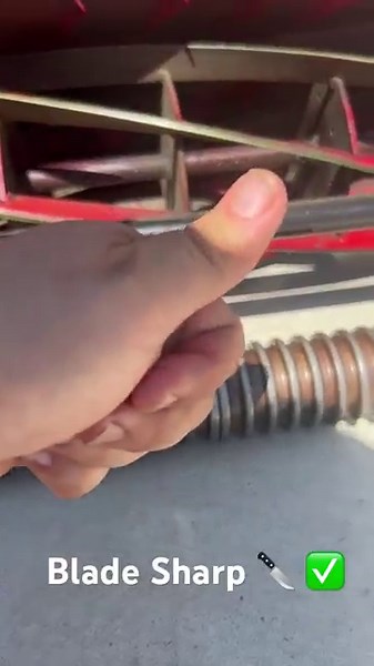 8 Steps to a Mclane REEL mow. DW🌎 #reelmower #bermudagrass #lawncare #lawnmower #diylawncare