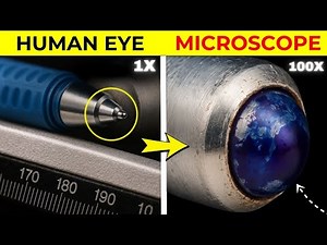 Hidden Things Only Seen Under a Microscope