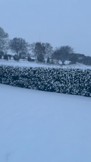 A very pretty nightmare ❄️☃️ | Riggs Head Farm Holiday Cottages