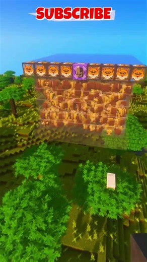 100000 Bees vs 😱🐝 Wither… Who Wins? #minecraftfight