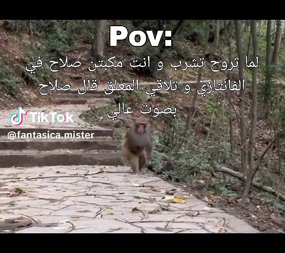 عمايل الفانتازي في الدوري الممتاز