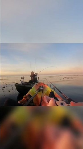 Catching Slippery Fish: A Two-Part Adventure