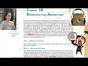 Digestion and Absorption NCERT Reading|NCERT Biology Class11 BiologyAudiobook|NCERT Biology Class11