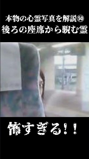 【後ろの座席から睨む霊】本物の心霊写真を解説㊿ #ゆっくり解説 #ゾゾゾ #衝撃 #ホラー #怪現象 #怖い話 #怖い話 #未確認生命体 #怖い #心霊写真 #恐怖 #都市伝説 #horror