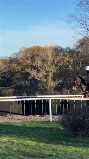 41 reactions · 6 comments | Two runners today, debutant ‘Populus’ who leads in this video, and Runninman who steps up to a mile. 5.10 @newcastleraces RUNNINMAN ridden by Tom Eaves. 5.30 @wolvesraces POPULUS ridden by Joanna Mason. Good luck to connections  | Ann Duffield Racing | Facebook