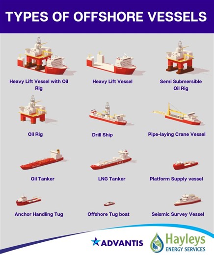 How many offshore vessels are used in maritime? | Hayleys Energy Services posted on the topic | LinkedIn
