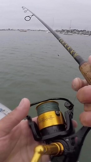Snagging Pogies for Baitfish in Boston Harbor