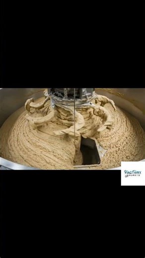 Plant Based Meat Production Process Part 14