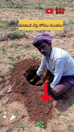 Pitts for mango plantation 🥭 🌾 #Shorts #mango #plants #pits #labour #machine #drilling #earth #meter