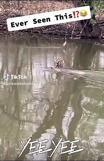 Buckworkshuntco on TikTok