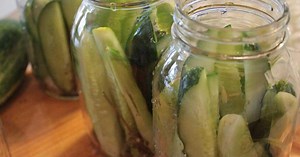 South Dakota Cottage Home Processing Food Safety