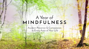 525K views · 279 reactions | Discover how mindfulness can help us meet life's challanges with widsom and grace. Join us for a free special interview with seven leading mindfulness teachers, including Jon Kabat-Zinn, Tara Brach, and Jack Kornfield. | Sounds True | Facebook