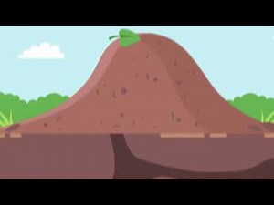 Homophones/Homographs