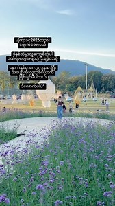🍃 | Nan Khing Thin Kyi