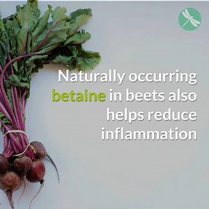 62K views · 49 reactions | When fermented, beets may be among the healthiest vegetables out there, as most of the sugar is then gobbled up by beneficial bacteria during the fermentation process while leaving other health-boosting ingredients intact. Read more: https://bit.ly/2Qje9Xp | Health and Happiness | Facebook