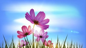 Abstract, Alpha, Alpha Channel