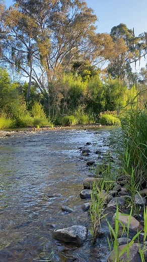 Summer evening in north east Victoria. - Tim Vincent | Victorian Creeks and Rivers; Friends of Deep Creek