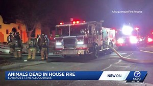 Multiple animals die in house fire in Albuquerque