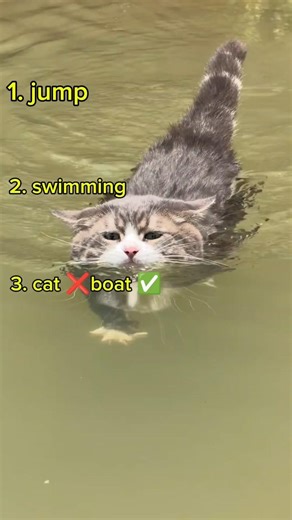 Funny Cat Jumps into Water 😹 | Cat Swimming Like a Pro 🐱💦