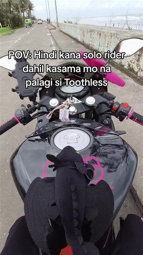 Toothless the Plushie: Your Riding Companion