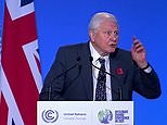 'World is looking to you': David Attenborough puts pressure on leaders at COP