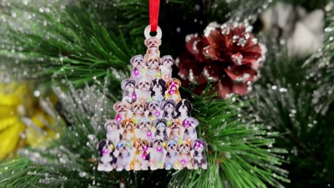 Handheld Sewing Machine, Beginner's Sewing kit with Storage, Two Power Supply Modes, Electric Switch, Simple Operation, Portable mini, Beginner's Sewing Machine.Black