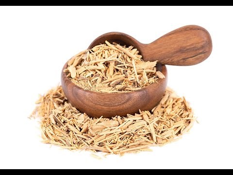 Muira Puama: The natural miracle cure from the Amazon - use and health benefits