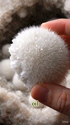 The "Cotton Ball" that can cut you. ⚔️