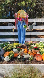 Happy Saturday, and welcome to the pumpkin patch! How cute is my little garden helper at the raised bed garden? What are y'all doing today? Have you visited a pumpkin patch yet this Fall? #gardenhelper #gardengirl #gardeninspo #fallgarden #raisedbedgarden #pumpkinpatch #fallinspo #mygardentoday #thehappygardeninglife | Happy Days Farm